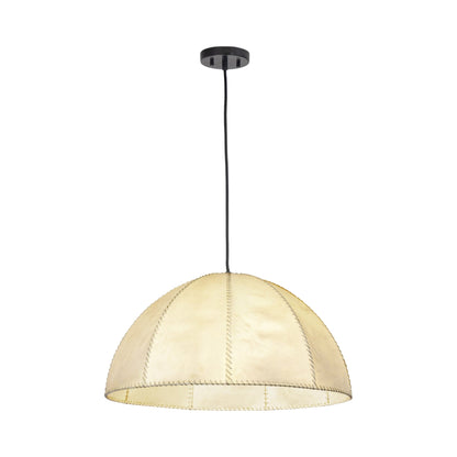 Stevie Pendant Light in Detail.