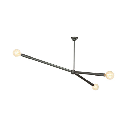 Talon Chandelier in Detail.