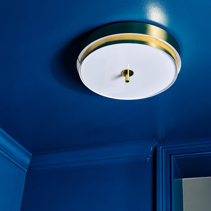 Elliott Flush Mount Ceiling Light in Detail.