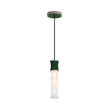 Kane Pendant Light in Jungle/Polished Nickel.