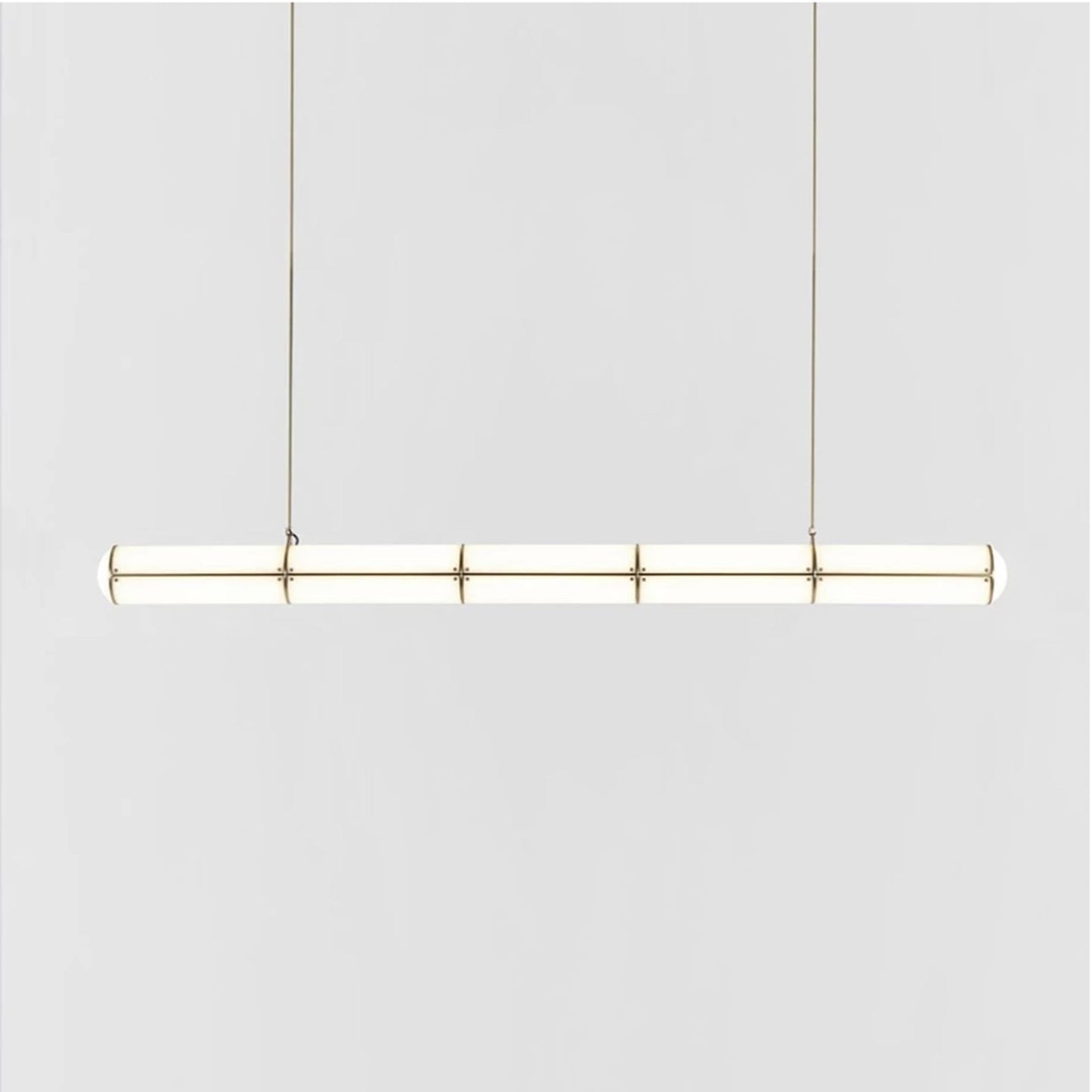 Endless Linear LED Pendant Light in Detail.