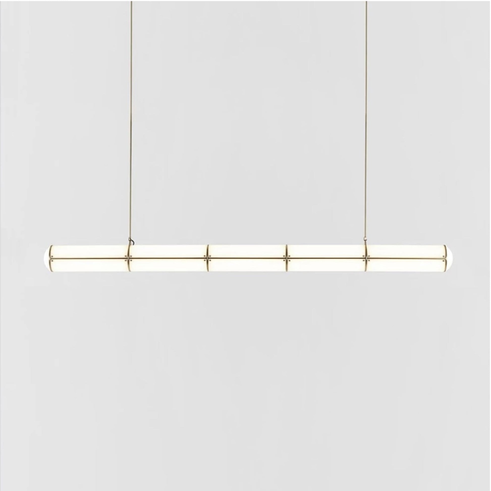 Endless Linear LED Pendant Light in Detail.
