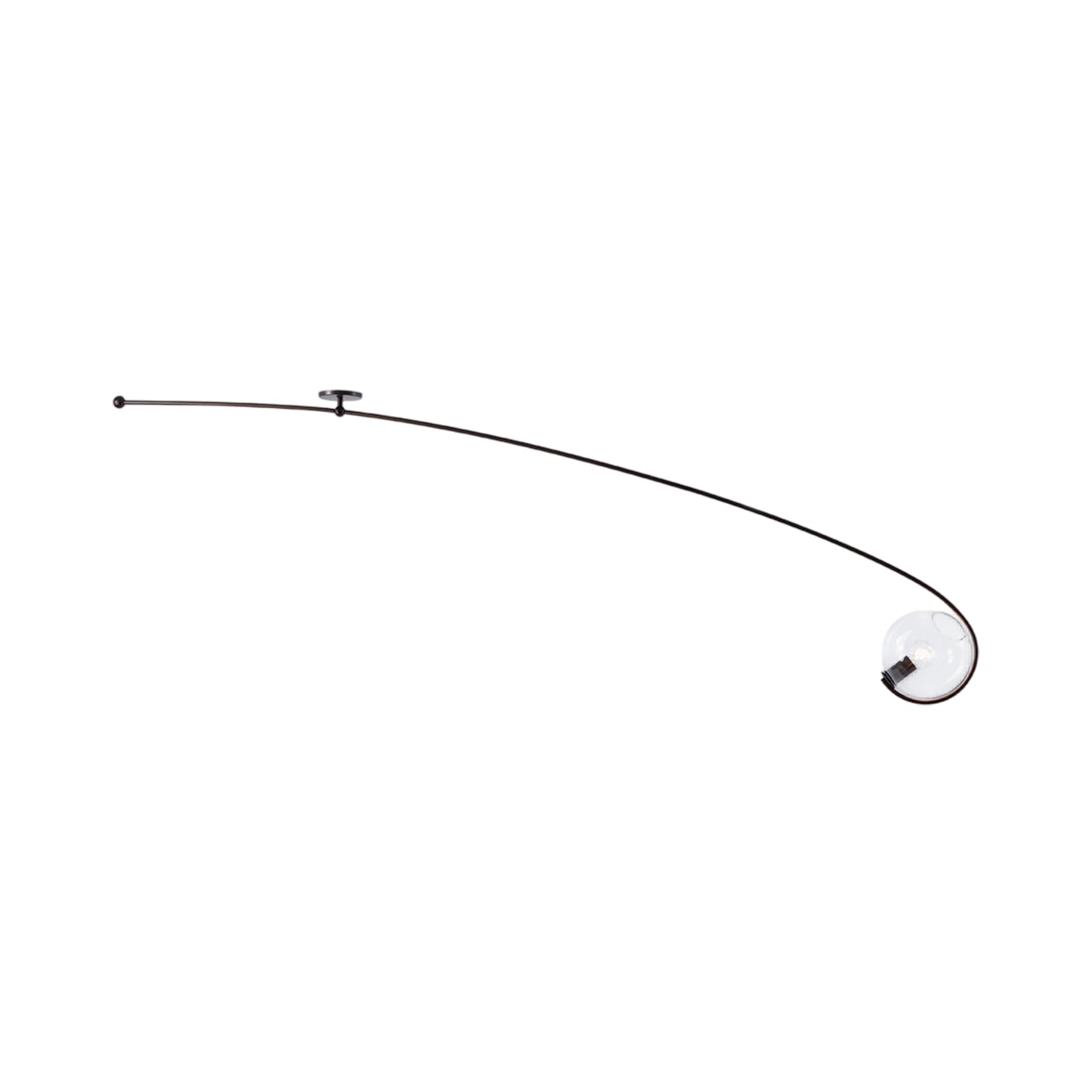 Fiddlehead Flush Mount Ceiling Light in Bronze/Clear.