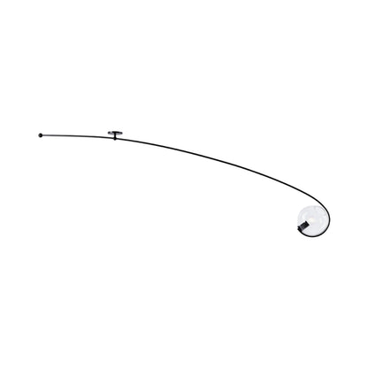 Fiddlehead Flush Mount Ceiling Light in Matte Black/Clear.