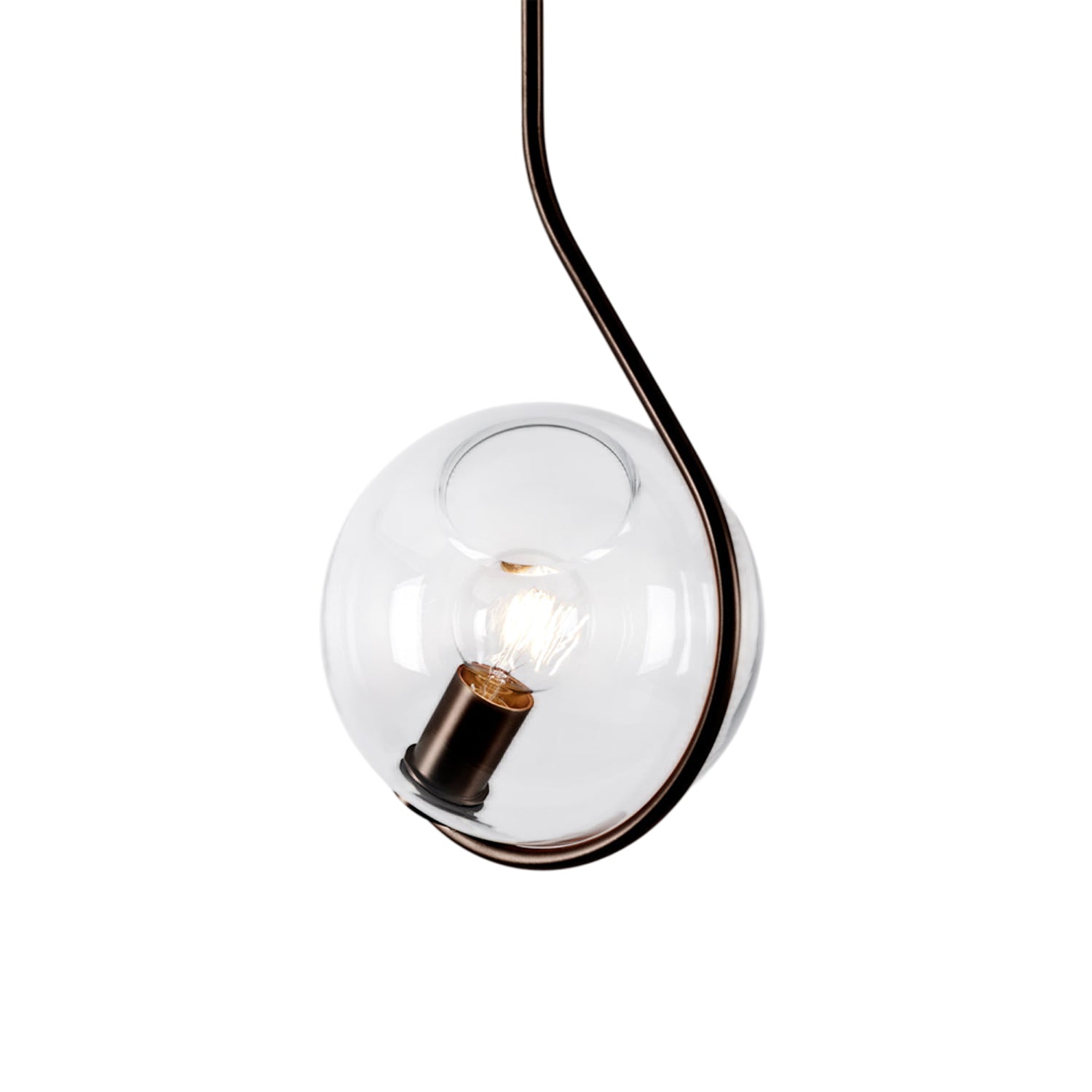 Fiddlehead Pendant Light in Bronze/Clear.