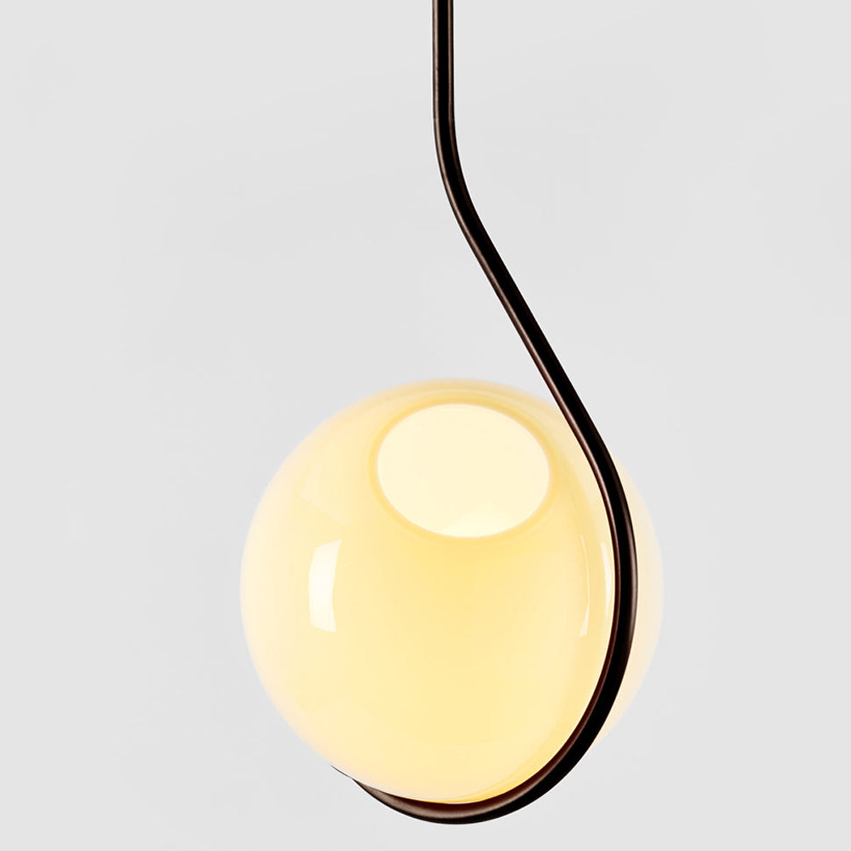 Fiddlehead Pendant Light in Detail.