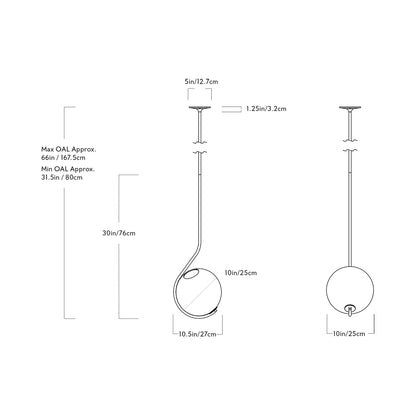 Fiddlehead Pendant Light - line drawing.