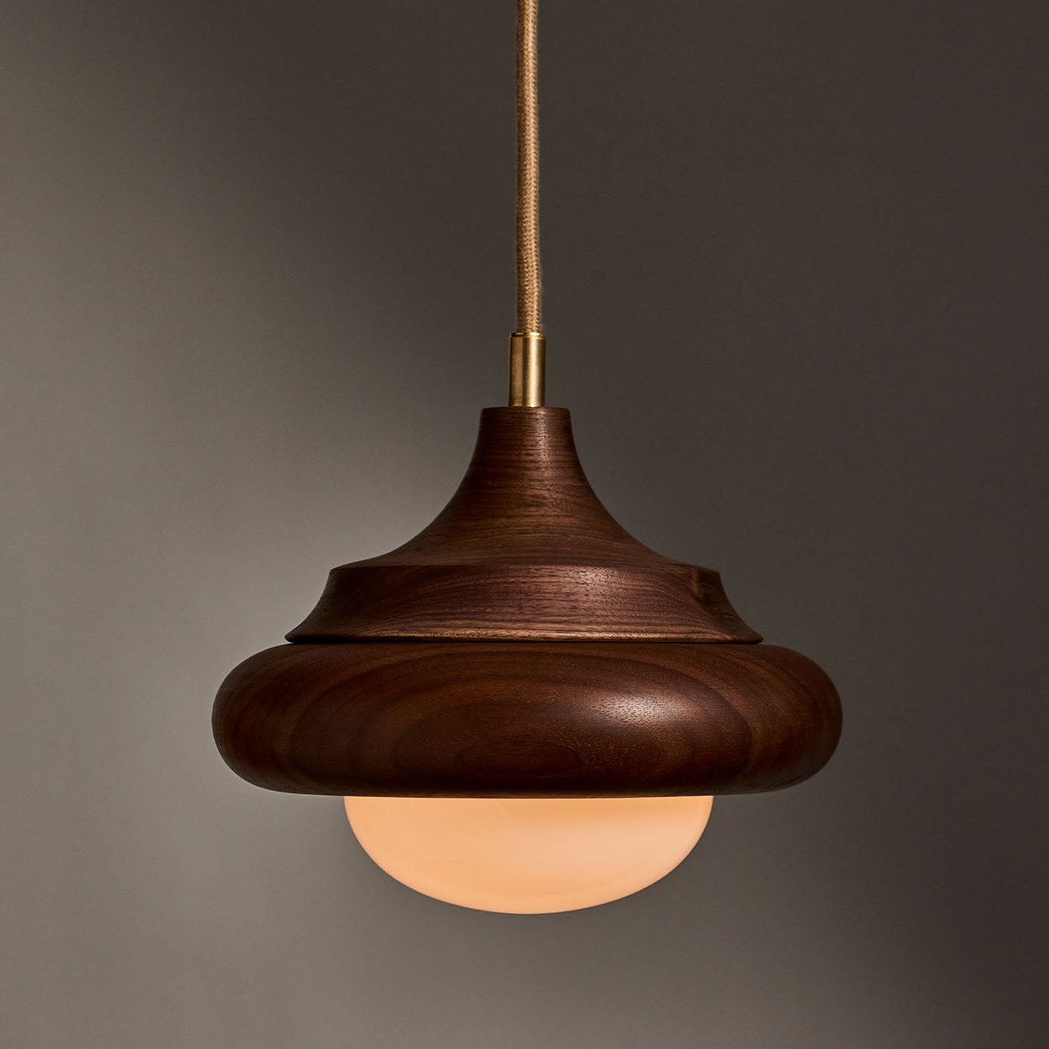 Humboldt LED Pendant Light in Detail.