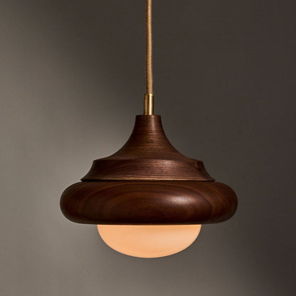 Humboldt LED Pendant Light in Detail.