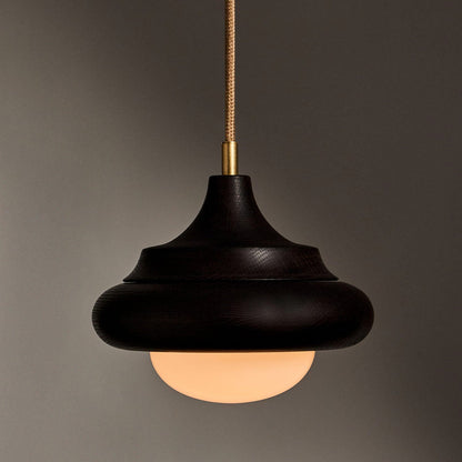 Humboldt LED Pendant Light in Detail.