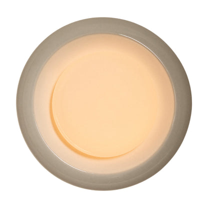 Humboldt LED Wall Light in Alabaster Ceramic (12-Inch).
