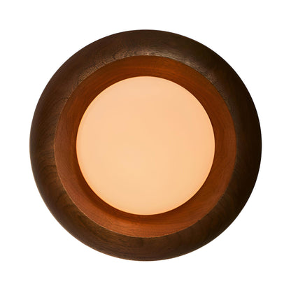 Humboldt LED Wall Light in Black Walnut.