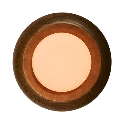 Humboldt LED Wall Light in Vintage Oak.