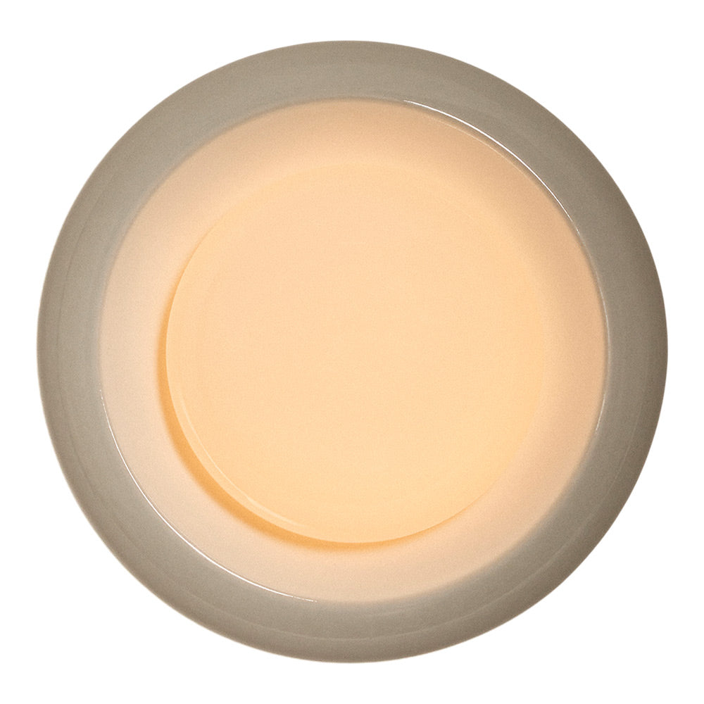 Humboldt LED Wall Light in Alabaster Ceramic (16-Inch).