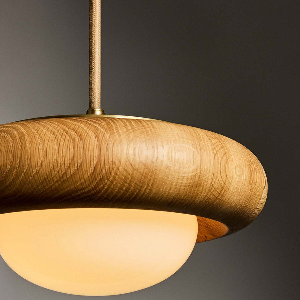 Humboldt Round LED Pendant Light in Detail.