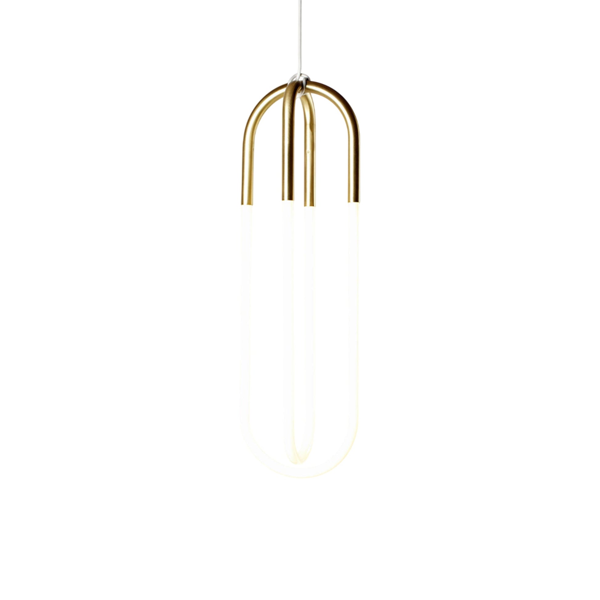 Rudi Double Loop LED Pendant Light (120V).