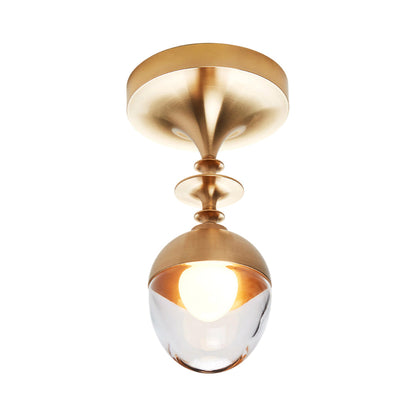 Rue Sala LED Flush Mount Ceiling Light in Unlacquered Brushed Brass (Clear Glass).
