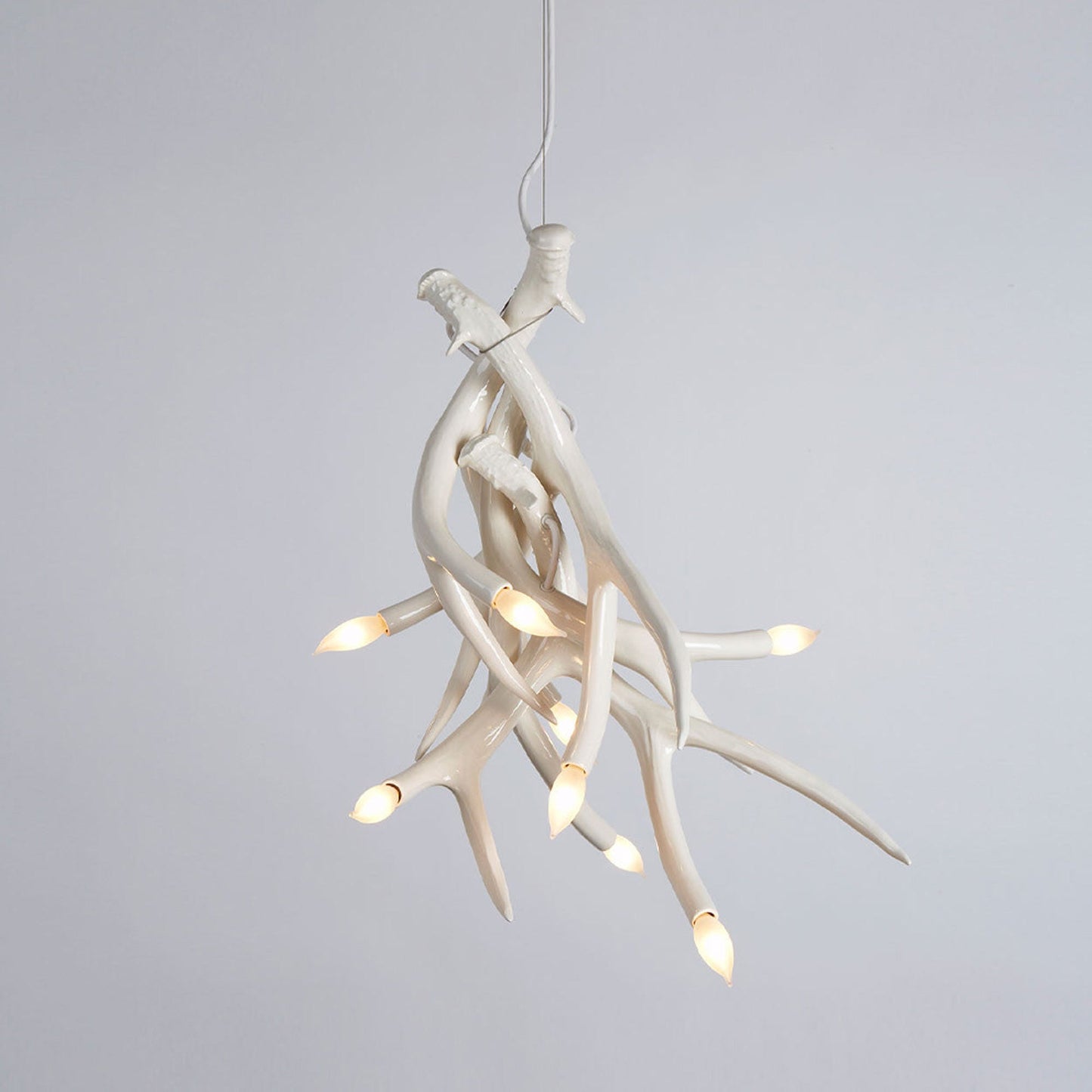 Superordinate Antler Chandelier in Detail.