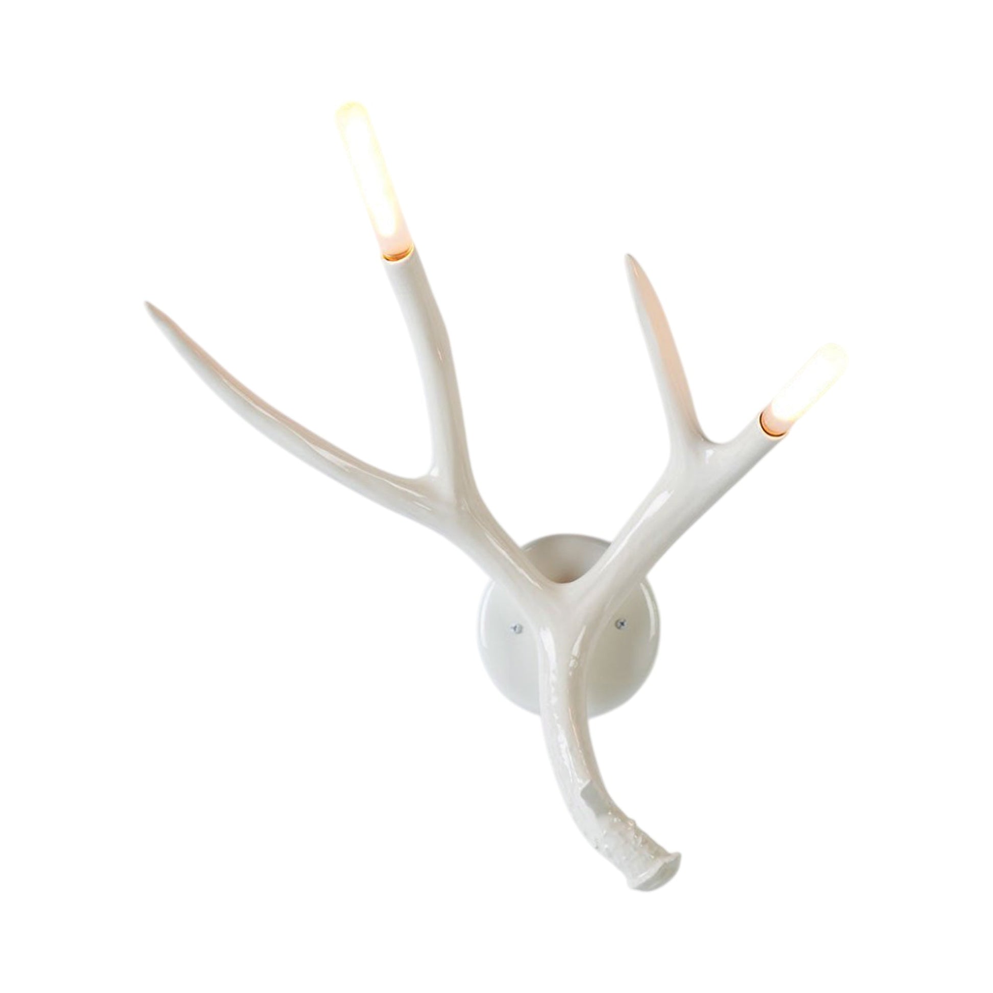 Superordinate Antler Wall Light.