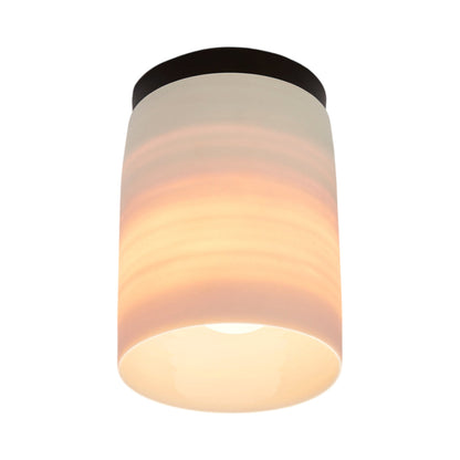 Surface Flush Mount Ceiling Light.