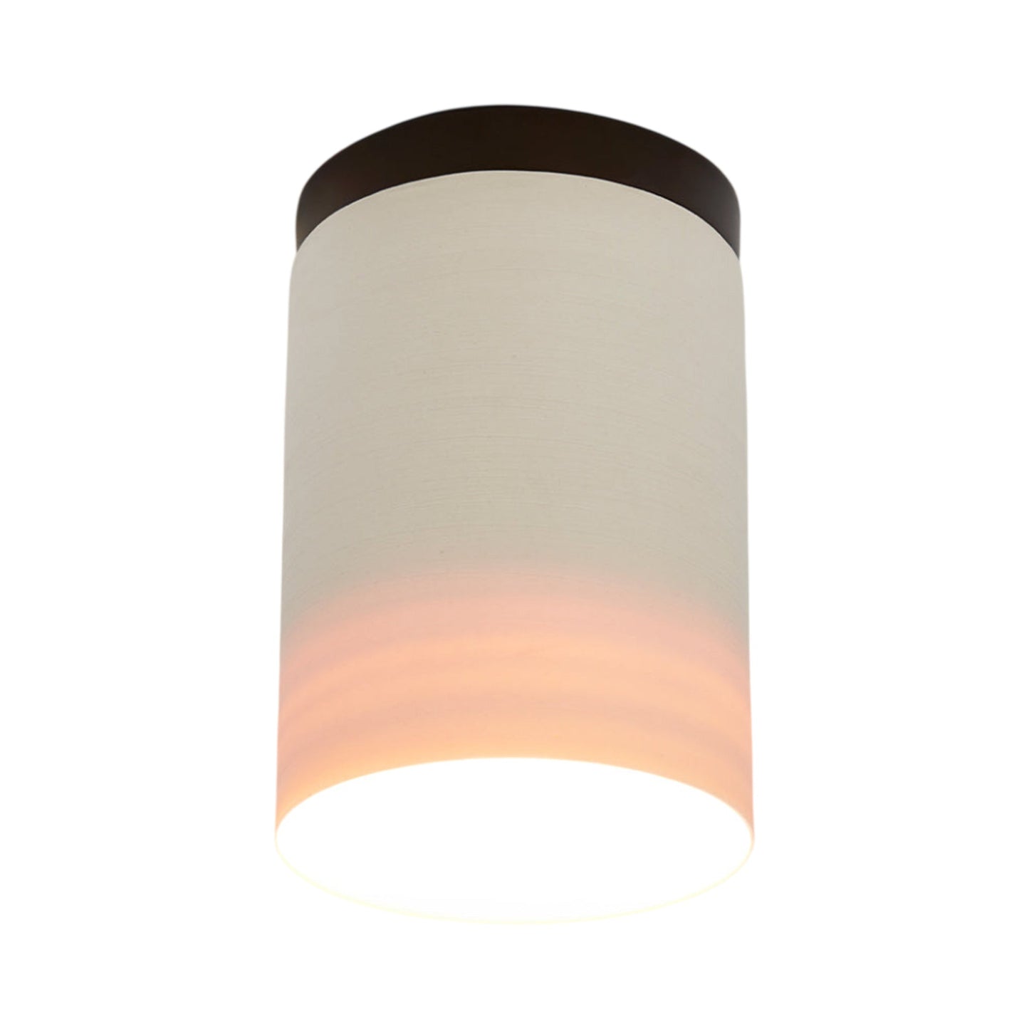 Surface Flush Mount Ceiling Light in Oil Rubbed Bronze.