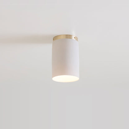 Surface Flush Mount Ceiling Light in Detail.