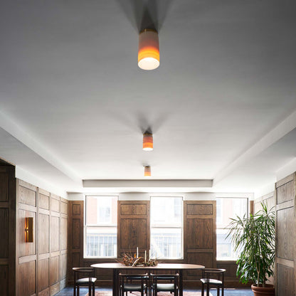 Surface Flush Mount Ceiling Light in living room.