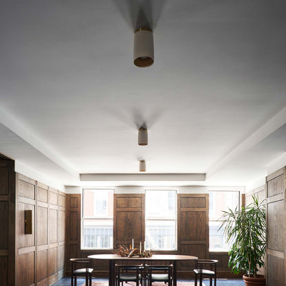 Surface Flush Mount Ceiling Light in living room.
