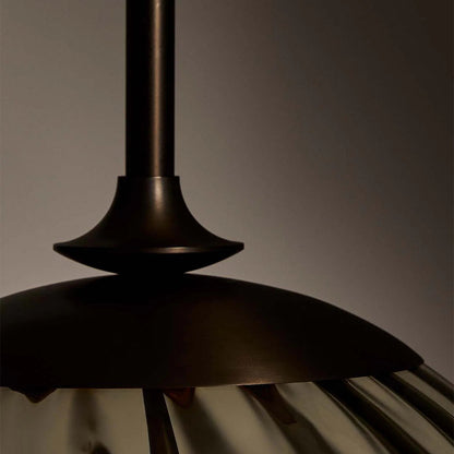 The Roll and Hill Tulip LED Pendant Light in Detail.