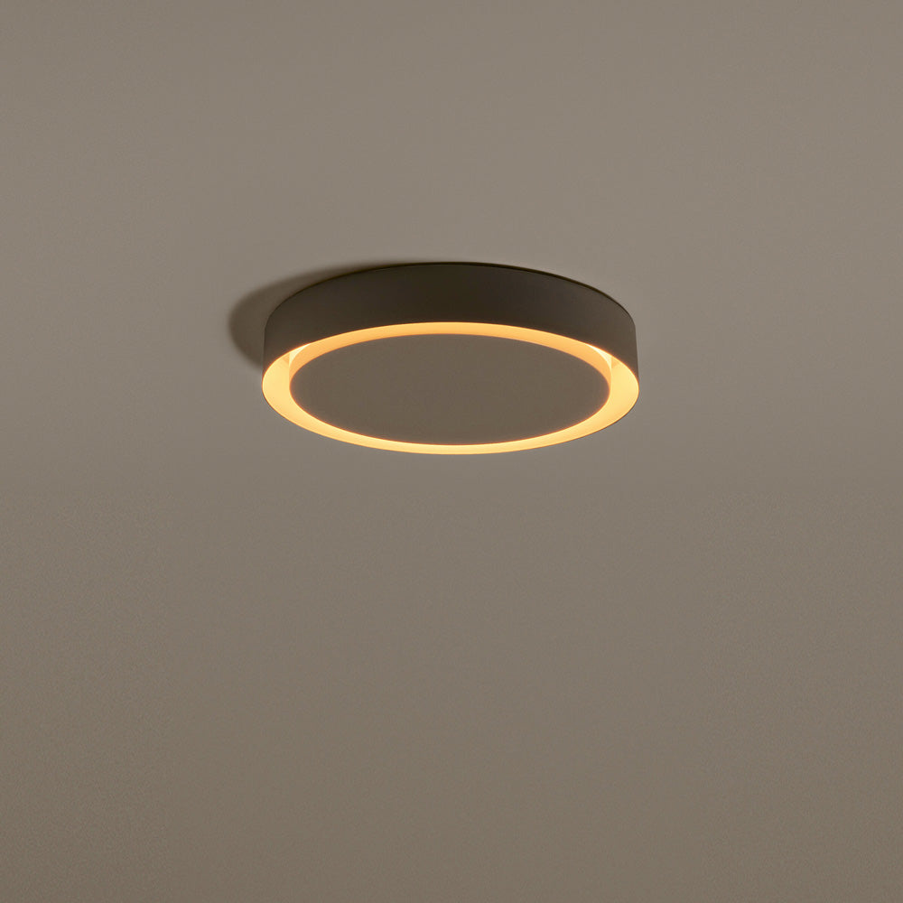 Amigo LED Ceiling/Wall Light in Detail.