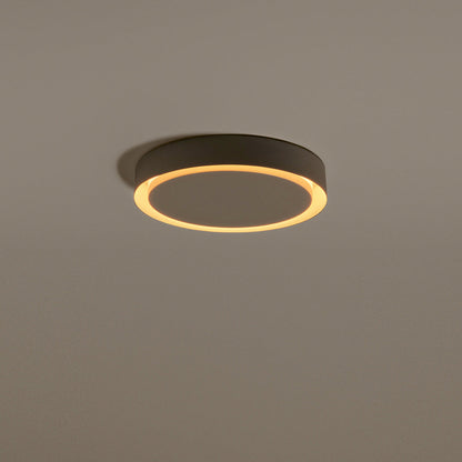 Amigo LED Ceiling/Wall Light in Detail.