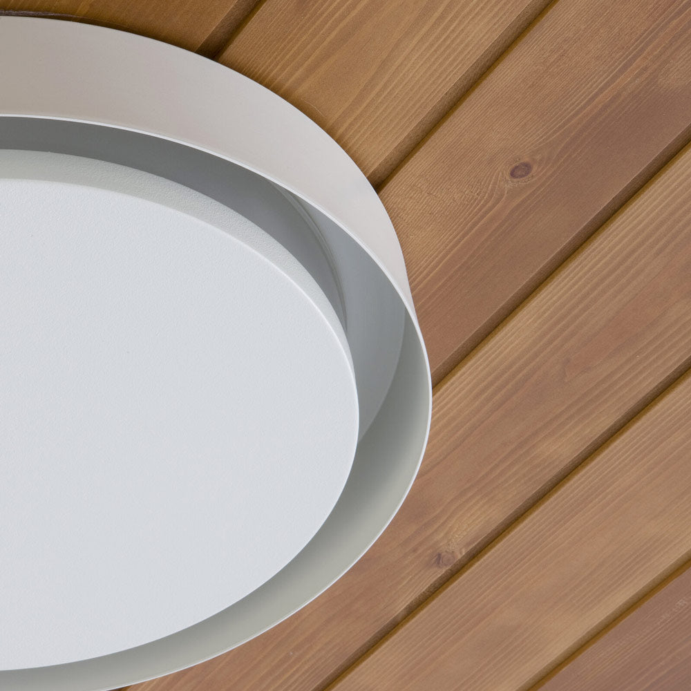 Amigo LED Ceiling/Wall Light in Detail.