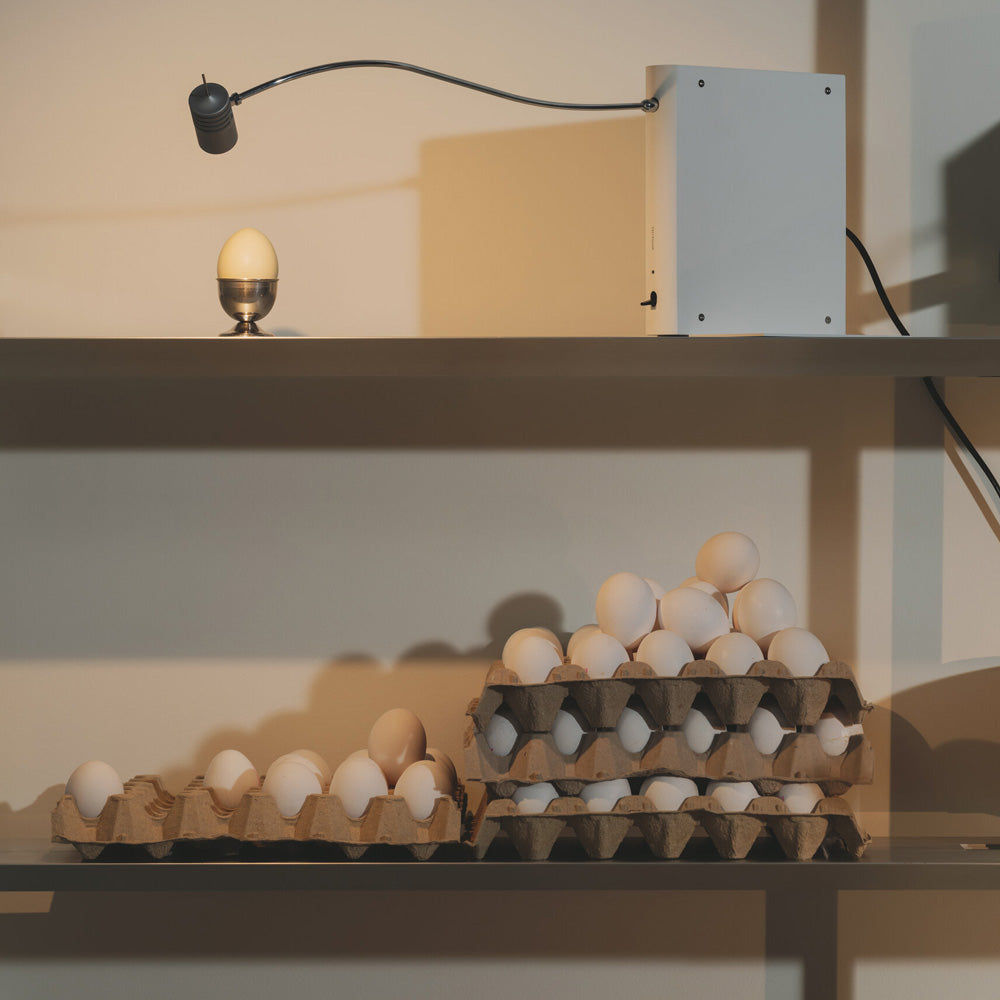 Bib Luz LED Table Lamp in Detail.