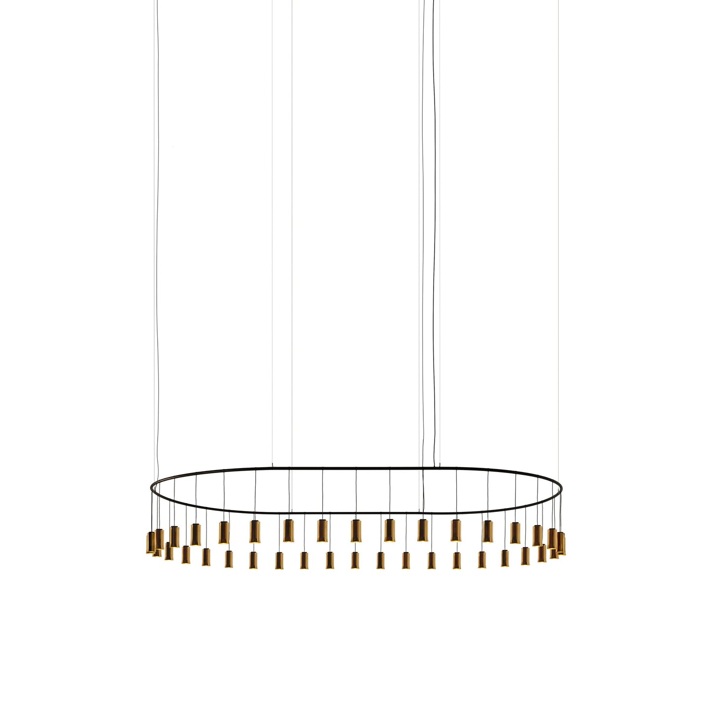 Cirio Oval LED Pendant Light in Polished Brass.