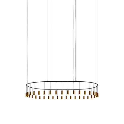 Cirio Oval LED Pendant Light in Polished Brass.