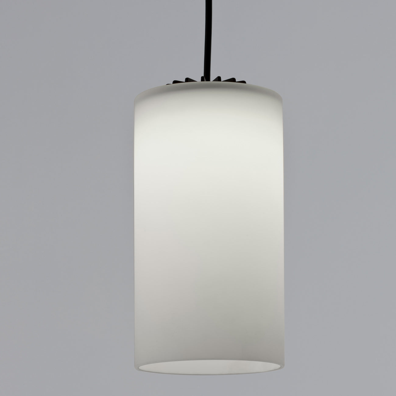 Cirio Oval LED Pendant Light in Detail.