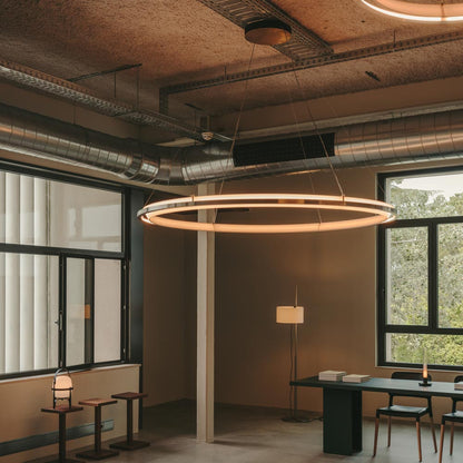 Nimba LED Pendant Light in office.