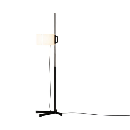 TMC Floor Lamp.