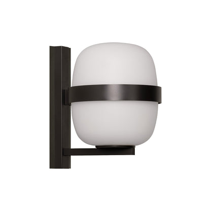 Wally Outdoor Wall Light in Black (9.4-Inch).