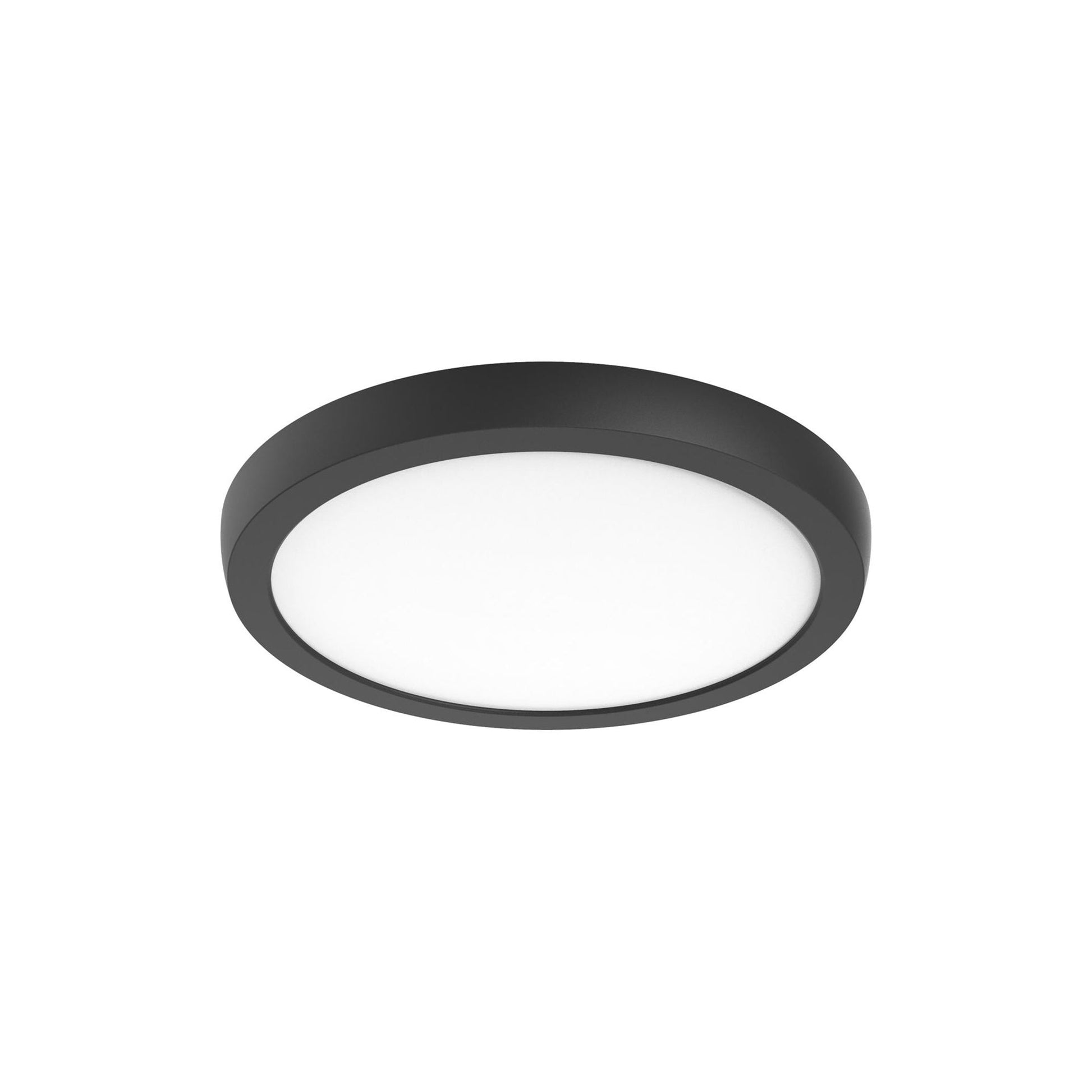 Blink Pro LED Flush Mount Ceiling Light in Black (12" Round / 19.5W).