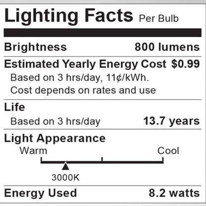 Medium Base A Type LED Bulb in Detail.