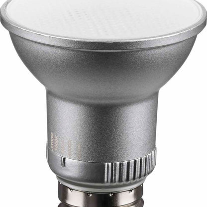 Par 20 E26 Base Spot LED Bulb in Detail.