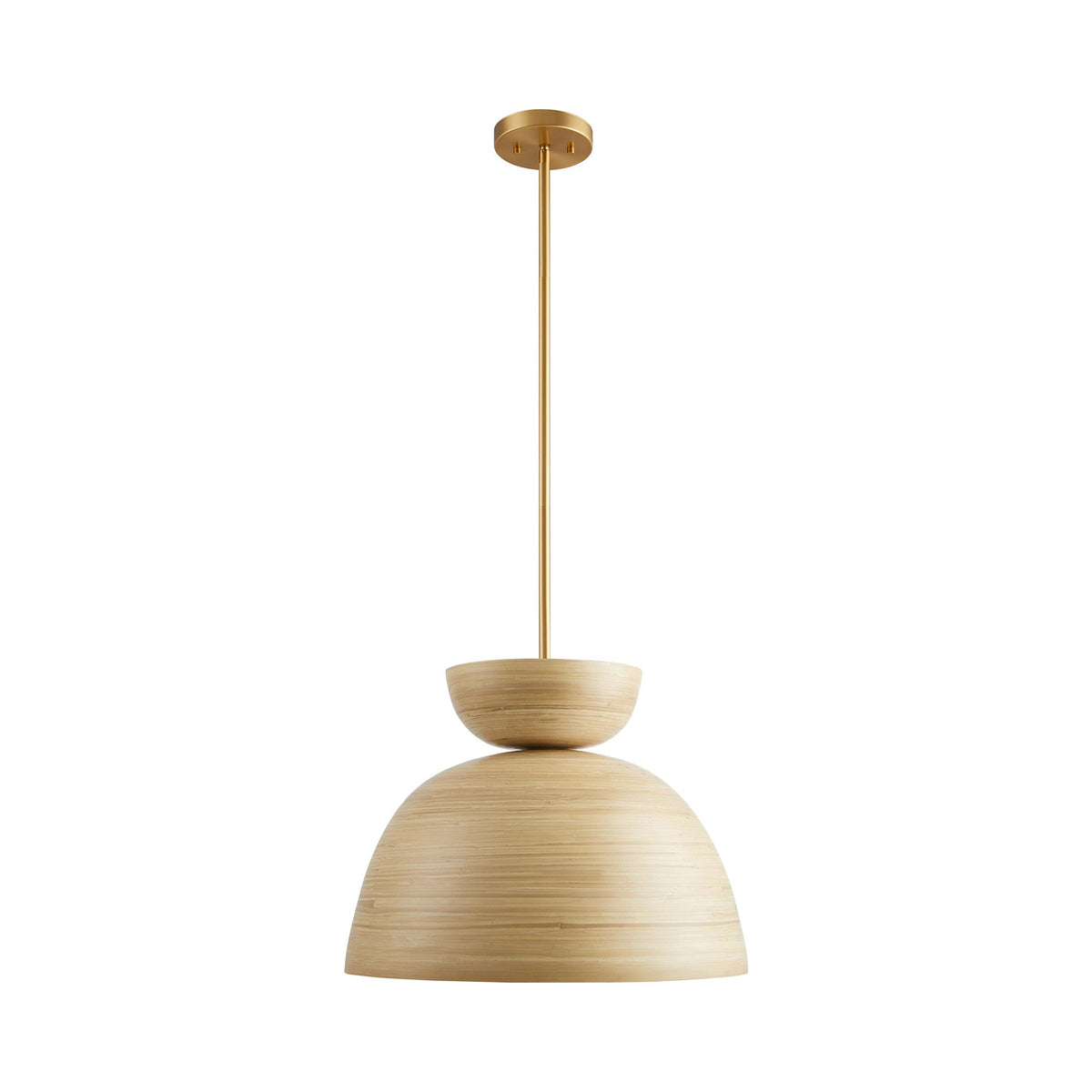 Agave Pendant Light in Detail.