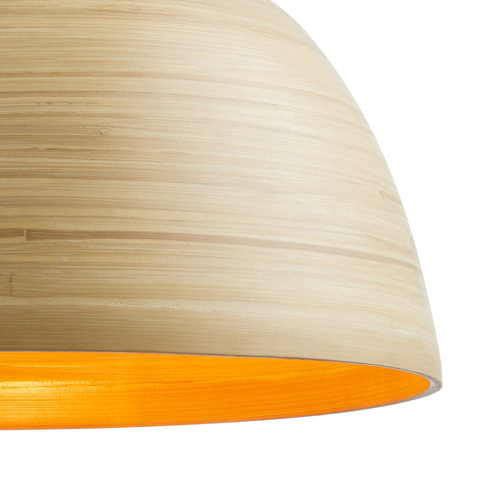 Agave Pendant Light in Detail.