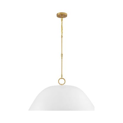 Alta Pendant Light.
