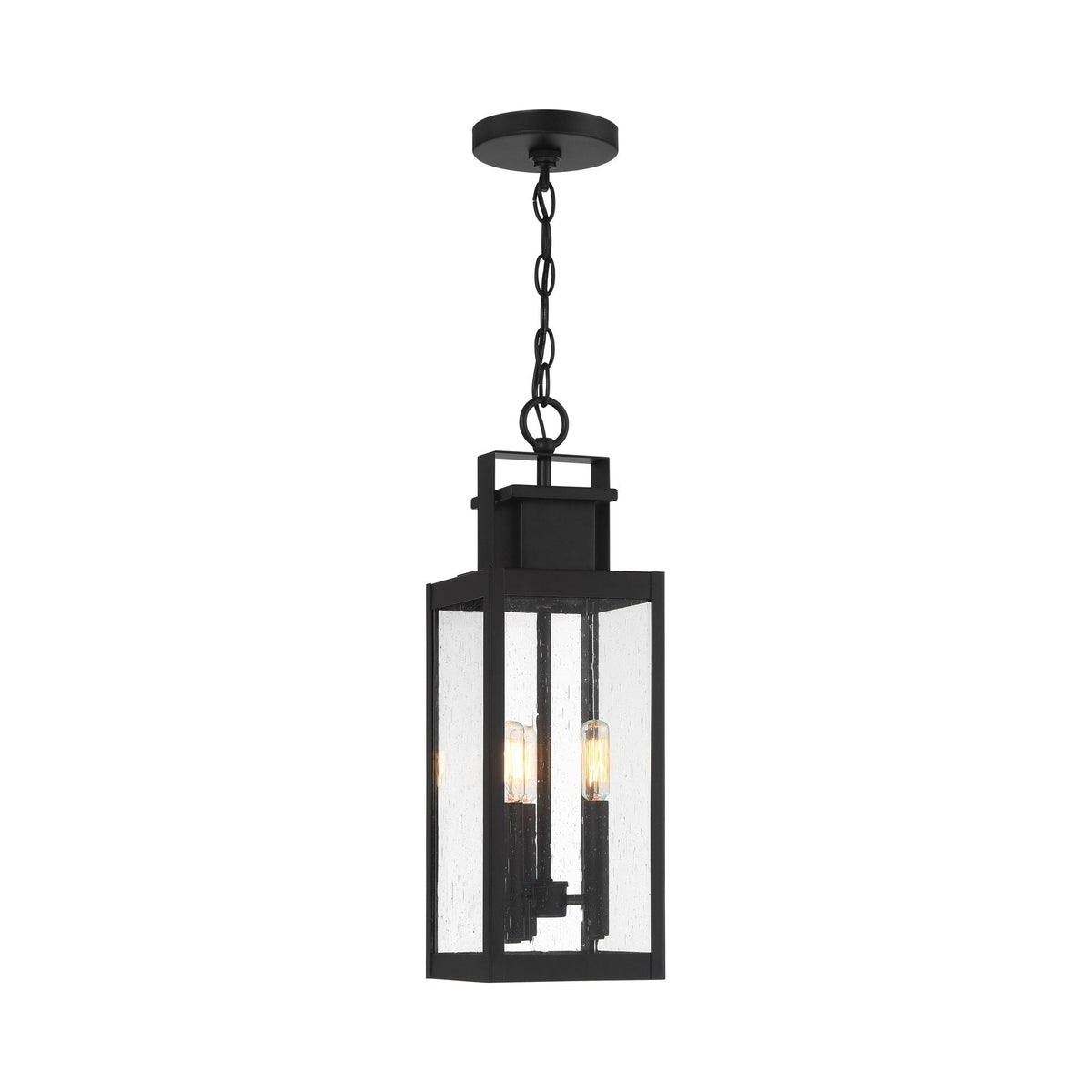 Ascott Outdoor Pendant Light.