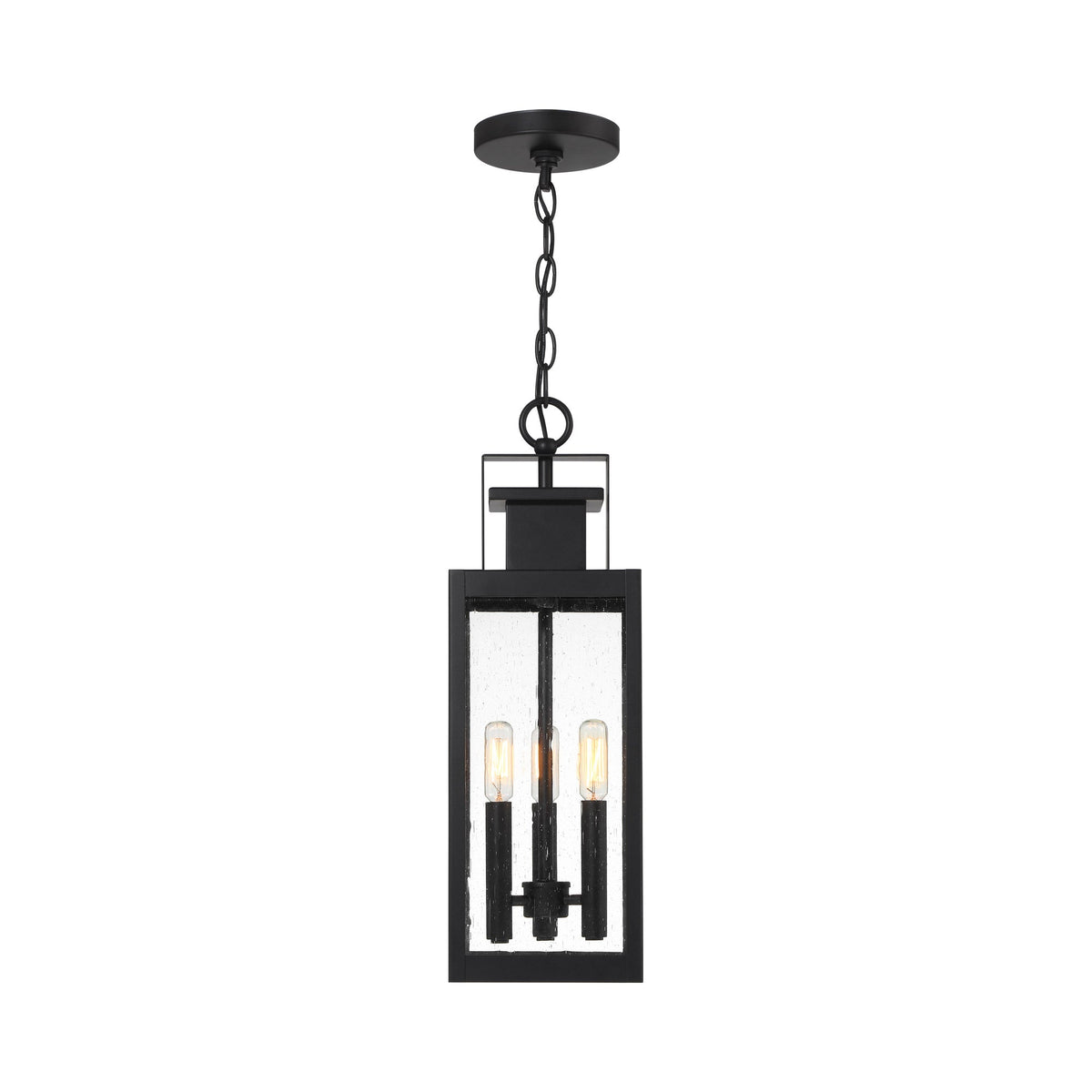 Ascott Outdoor Pendant Light in Detail.