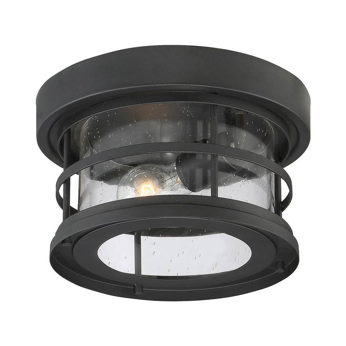 Barrett Outdoor Flush Mount Ceiling Light in Detail.
