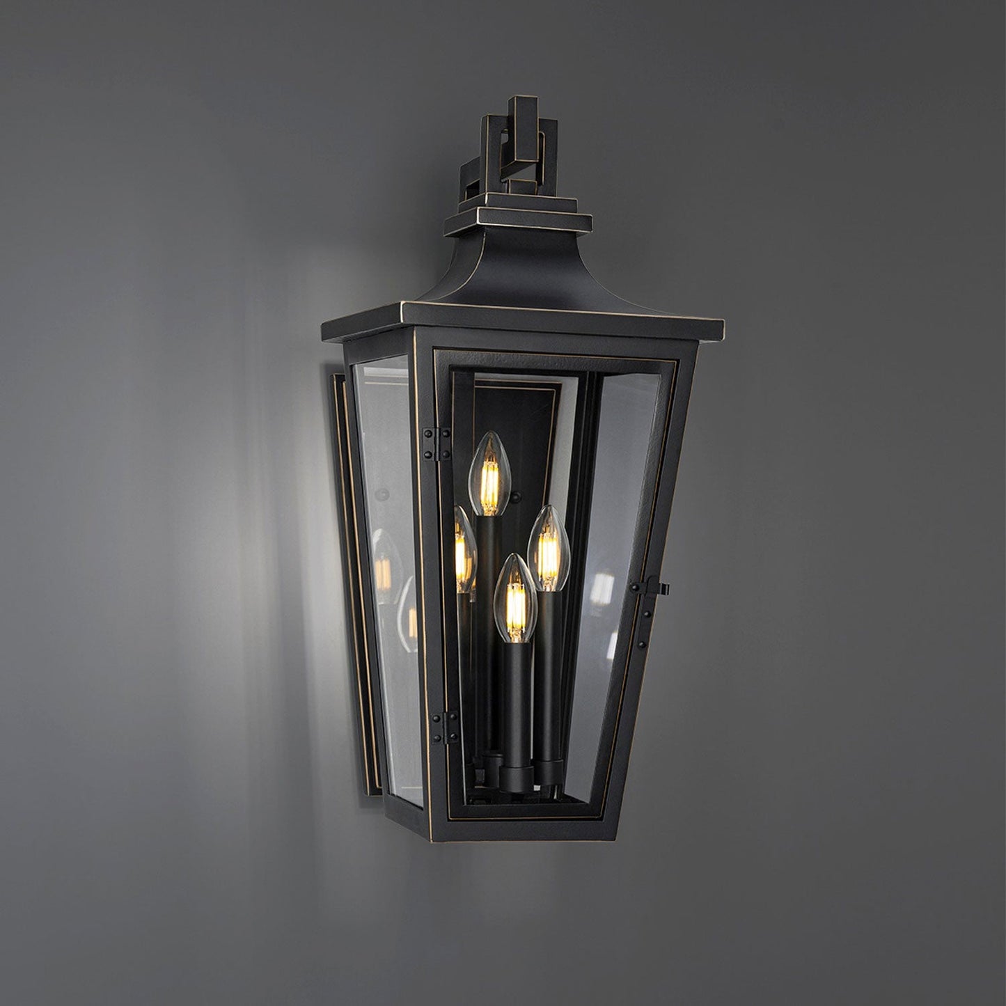 Dannemore Outdoor Wall Light in Detail.