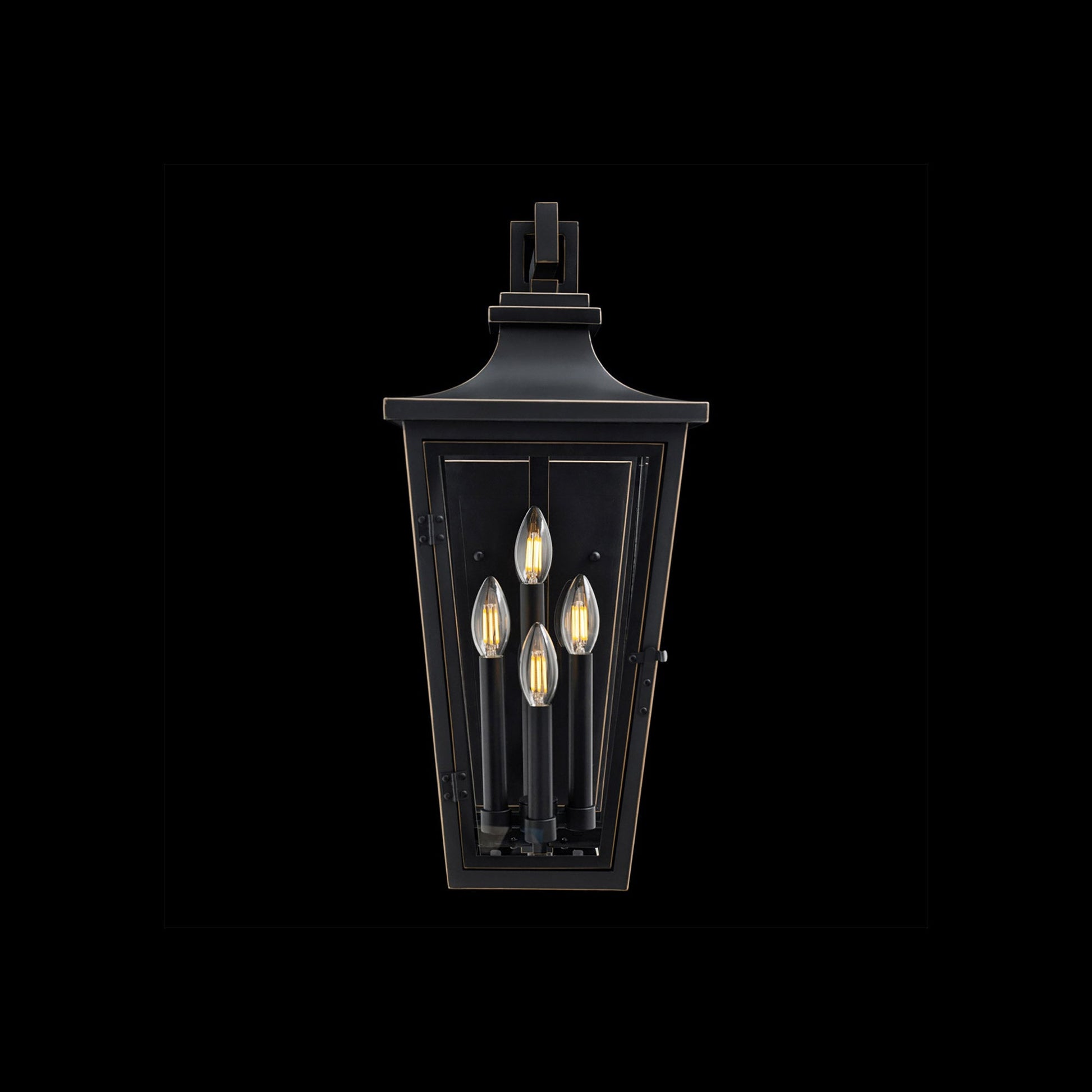 Dannemore Outdoor Wall Light in Detail.